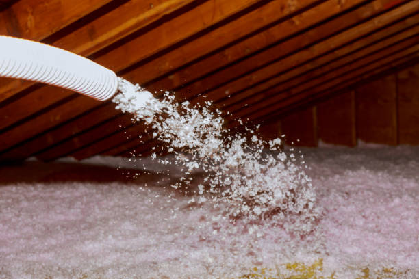 Best Spray Foam Insulation  in Bel Air North, MD