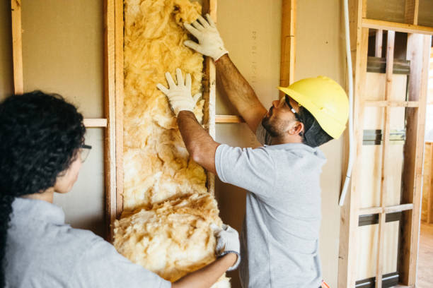 Best Insulation Repair Services  in Bel Air North, MD