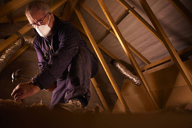 Best Insulation Contractor Near Me  in Bel Air North, MD